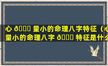 心 🐅 量小的命理八字特征（心量小的命理八字 🍀 特征是什么）